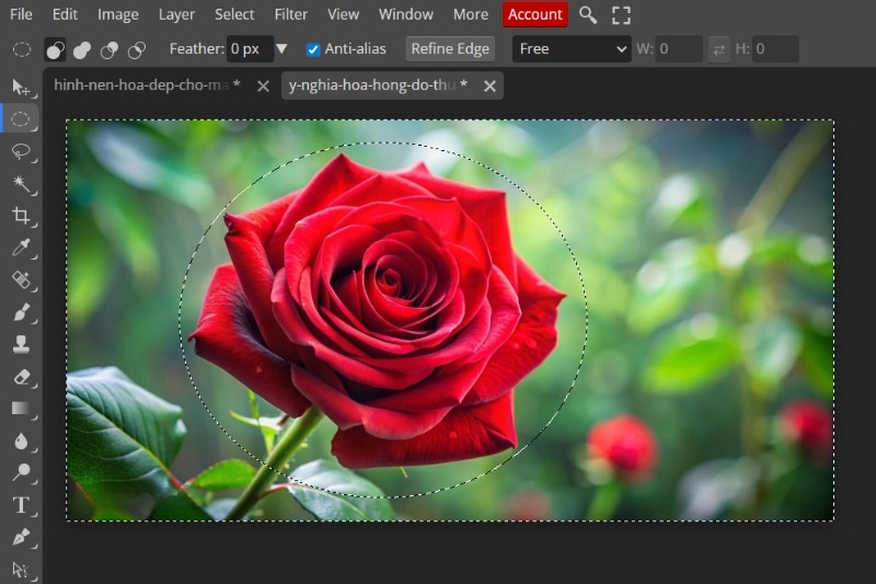 Cách đảo ngược vùng chọn Photoshop ảnh 13