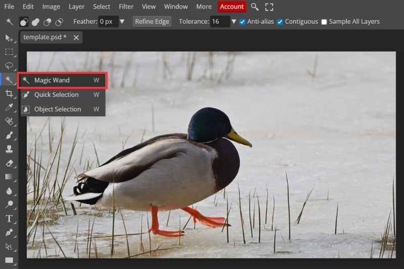 Cách đảo ngược vùng chọn Photoshop ảnh 3