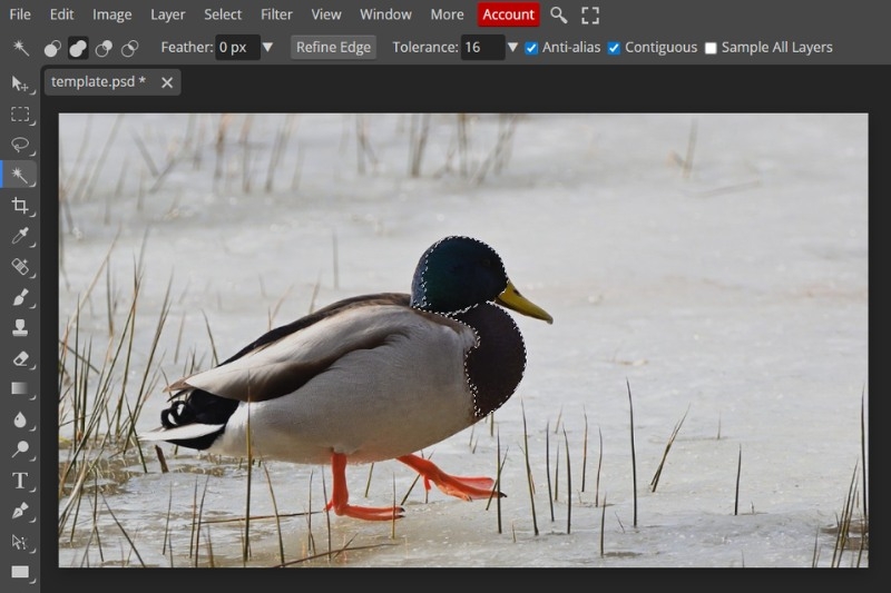 Cách đảo ngược vùng chọn Photoshop ảnh 4