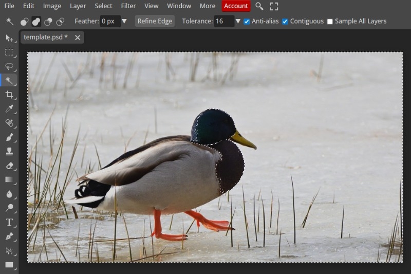 Cách đảo ngược vùng chọn Photoshop ảnh 5