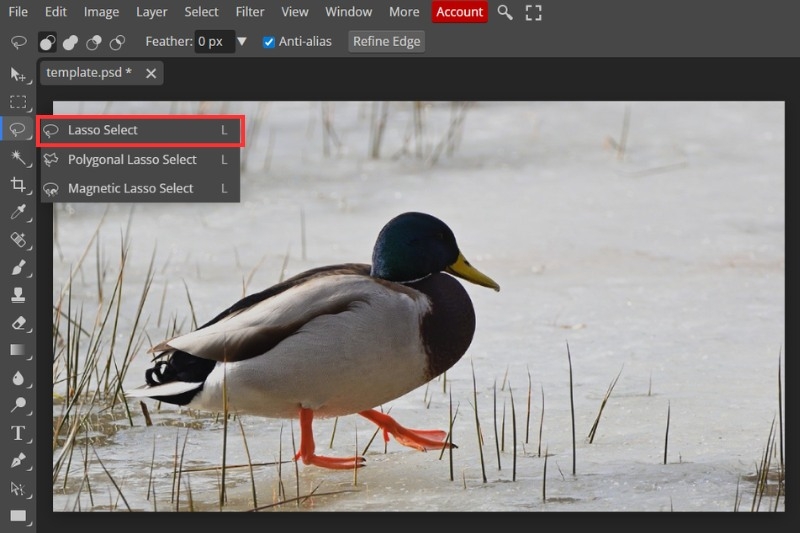 Cách đảo ngược vùng chọn Photoshop ảnh 6
