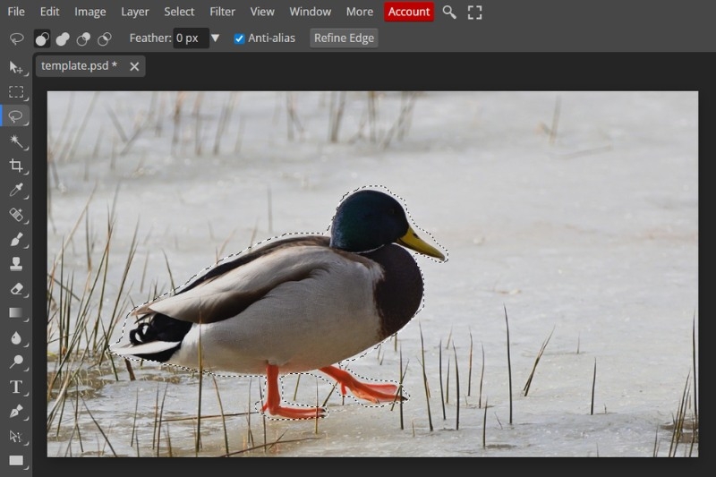 Cách đảo ngược vùng chọn Photoshop ảnh 7