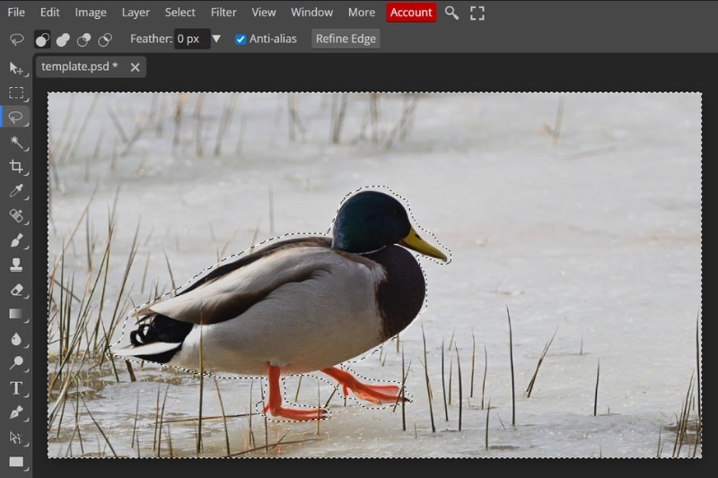 Cách đảo ngược vùng chọn Photoshop ảnh 8