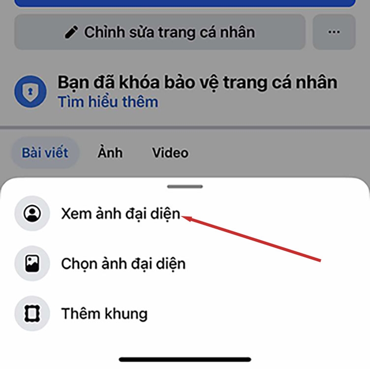 Cách để ảnh đại diện chỉ mình tôi (hình 5)