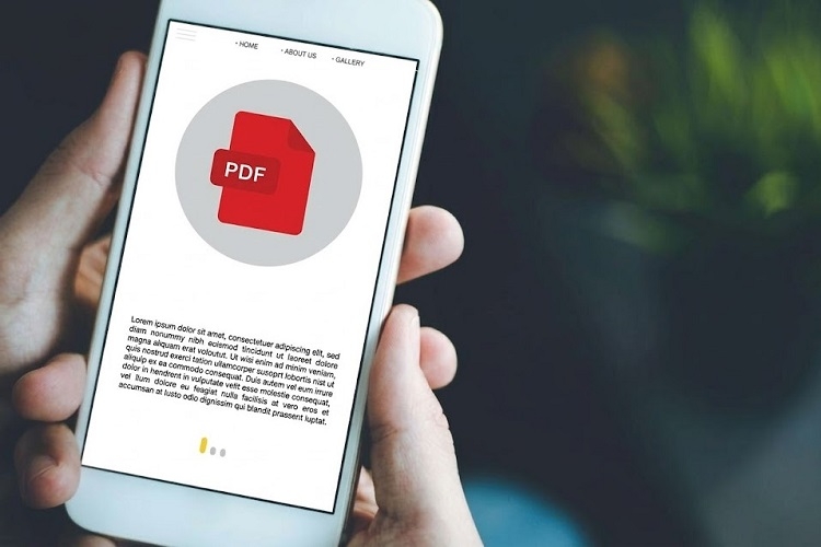 Cách điền file PDF trên iPhone (Hình 1)