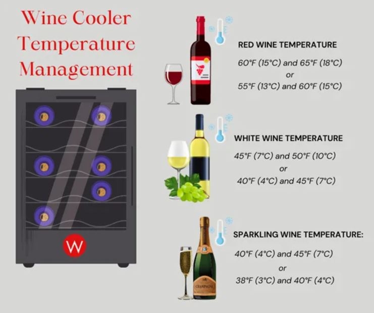 cách dùng tủ bảo quản rượu vang 3