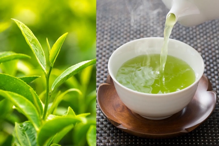cách hãm chè xanh không bị đỏ 1