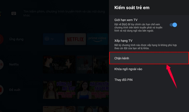 cách khóa YouTube trên tivi Sony ảnh 4
