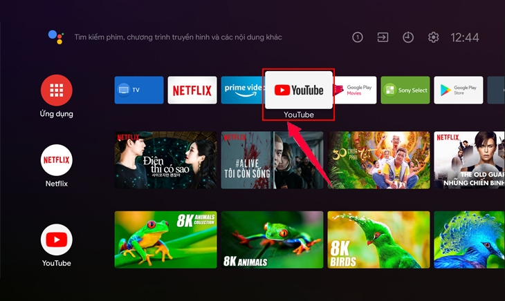cách khóa YouTube trên tivi Sony ảnh 11