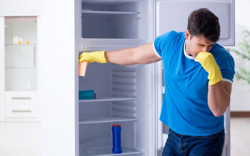 Nguyên nhân khiến tủ lạnh lâu ngày không dùng có mùi khó chịu