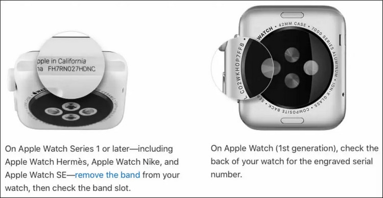 Cách kiểm tra Apple Watch chính hãng 45mm - ảnh 6