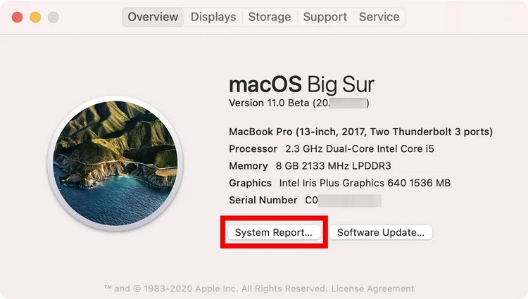 Cách kiểm tra cấu hình Macbook - ảnh 12