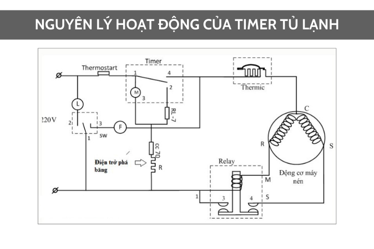 cách kiểm tra timer tủ lạnh hình 2