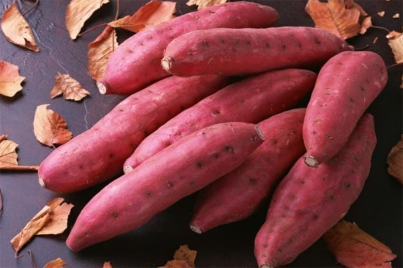 Cách làm bánh khoai lang hấp (Hình 11)