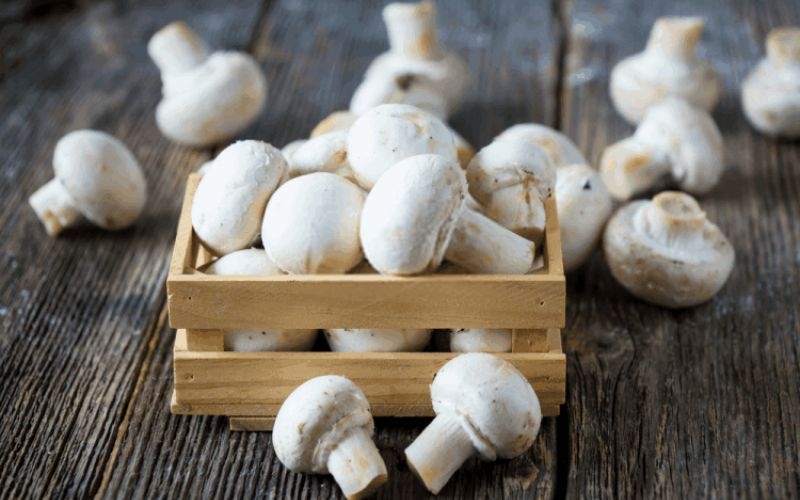 cách làm bò Wellington 12