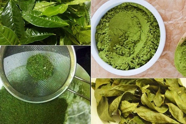 Cách làm bột trà xanh 4
