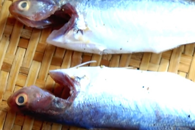 Cách làm cá khô (Hình 4)