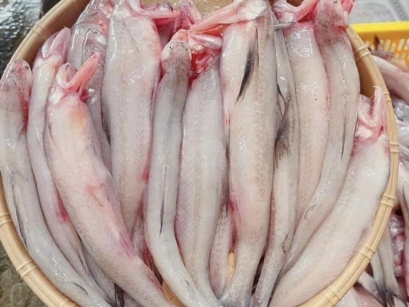 Hướng dẫn cách làm cá khoai kho tiêu  (hình 1)