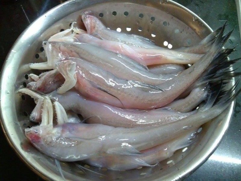Hướng dẫn cách làm cá khoai kho tiêu (hình 3)
