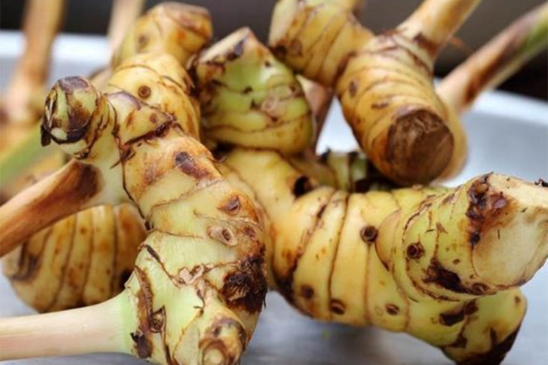 cá lóc kho riềng (hình 3)