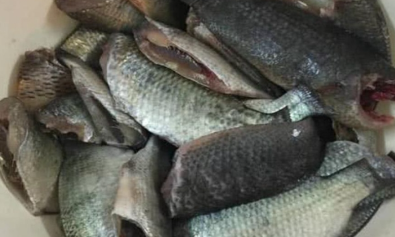 Cách làm cá rô kho tộ kiểu Nam Bộ - hình 3
