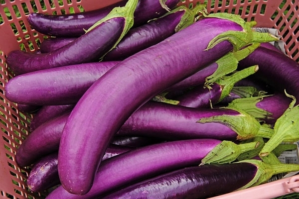 Cách làm cà tím nướng mỡ hành​ 9