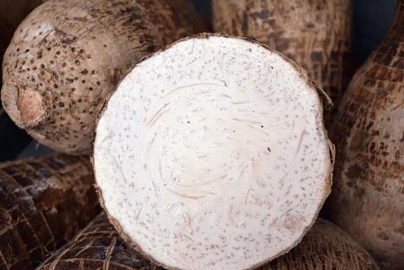 Chia sẻ chi tiết cách làm chả cá chay từ khoai môn (hình 2)
