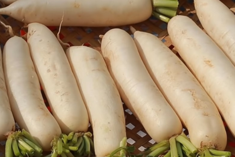 cách làm củ cải muối hết mặn (hình 5)