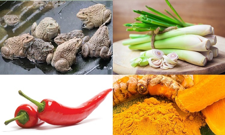 Cách làm ếch xào sả ớt nghệ (Hình 1)