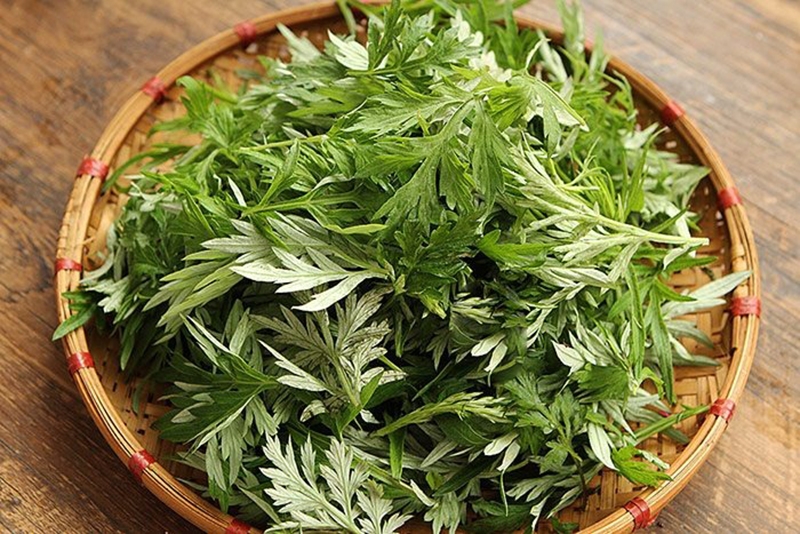 cach-lam-ga-hap-ngai-cuu-3.jpg
