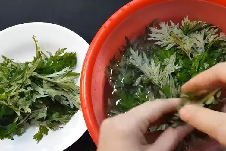 Bước 2: Sơ chế ngải cứu
