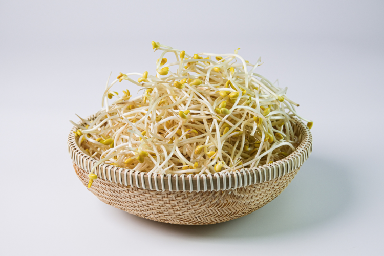 cách làm giá đỗ hình 2