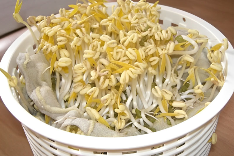 cách làm giá đỗ hình 3