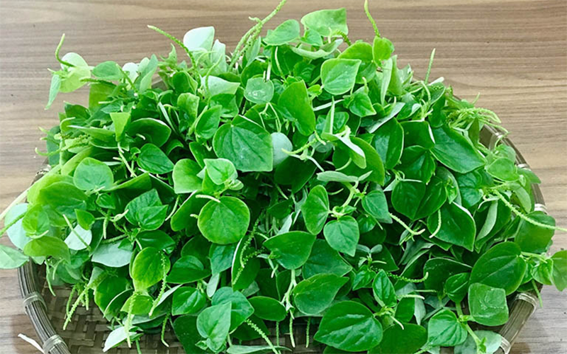 Cách làm gỏi gà rau càng cua (hình 1)