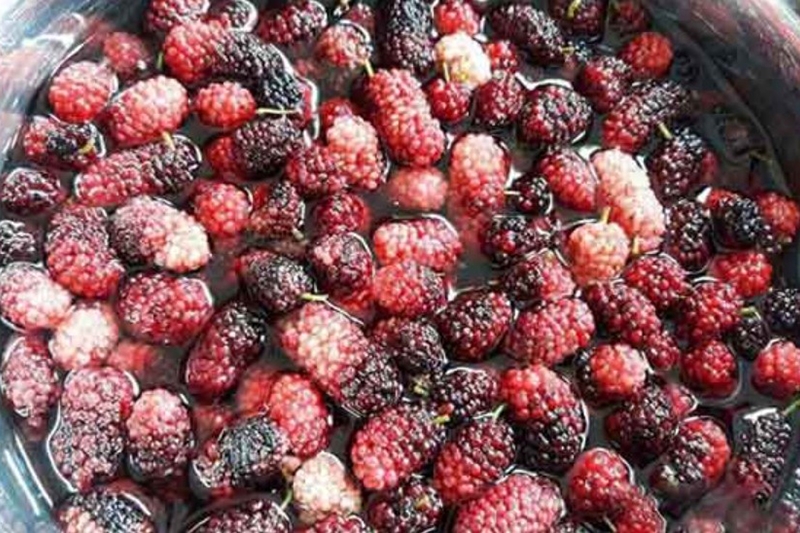cách làm kem dâu tằm (hình 3)