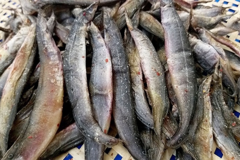 cách làm khô cá chạch 4