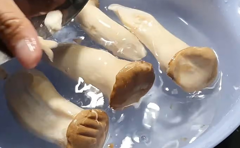 Cách làm nấm đùi gà xào tỏi (hình 3)