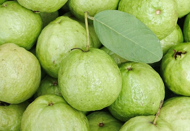Nước ép cần tây ổi (hình 4)