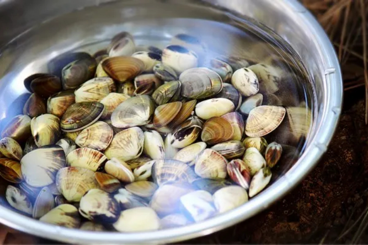 cách làm sạch ngao 2