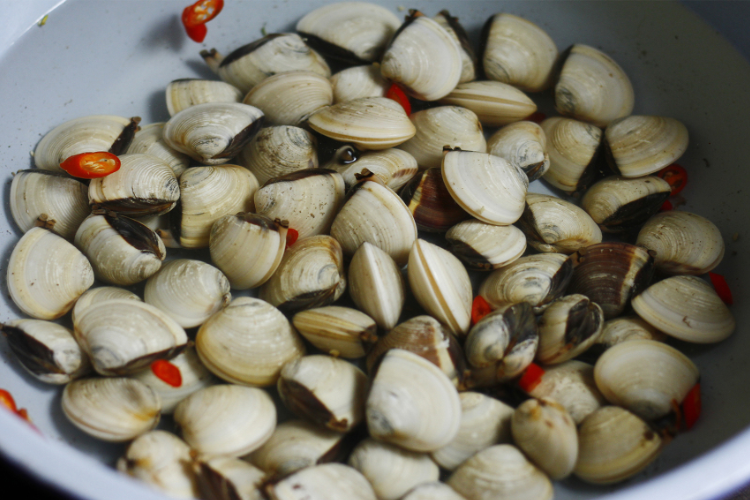 5 cách làm sạch ngao nhanh chóng, không lo còn cát bẩn khi nấu ăn
