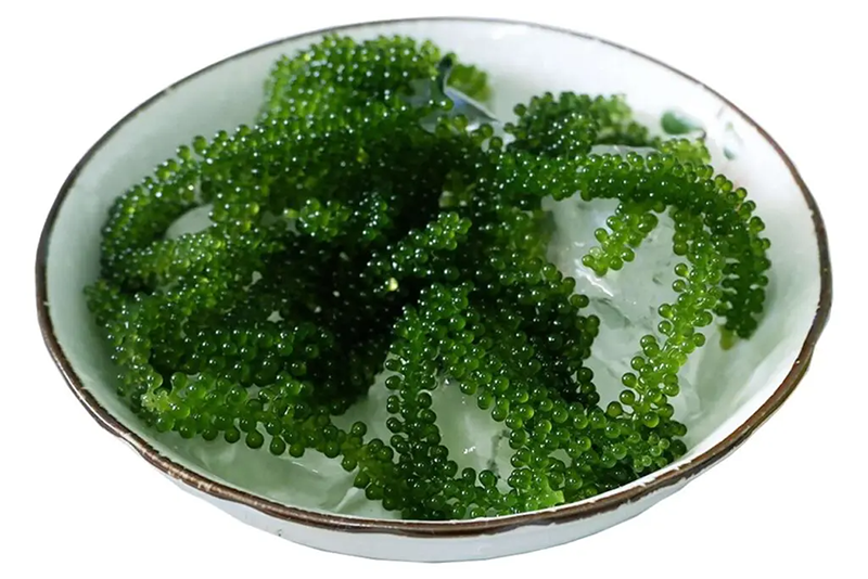 làm salad rong nho (hình 1)