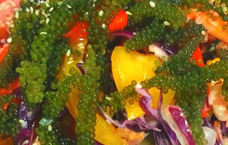làm salad rong nho (hình 5)