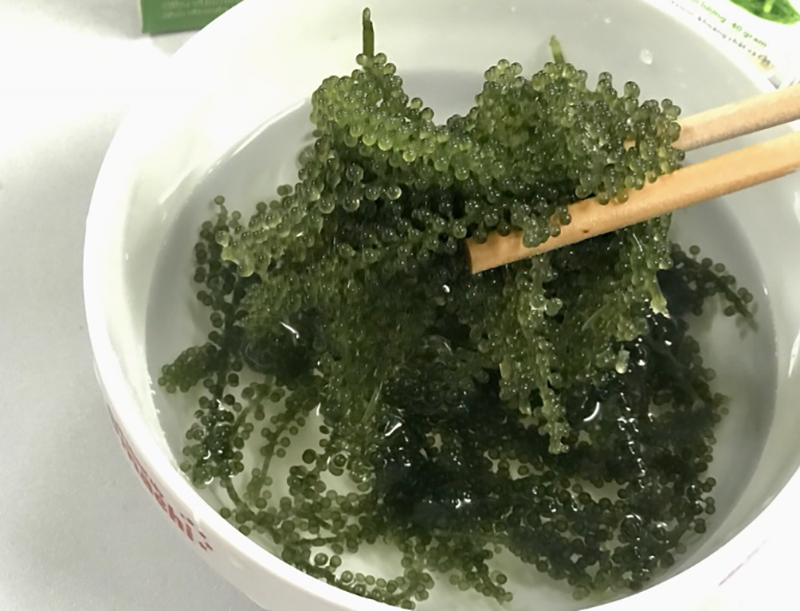 làm salad rong nho (hình 9)