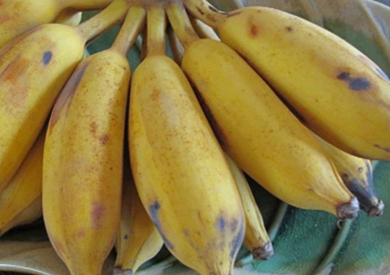 sinh tố dâu chuối (Hình 2)
