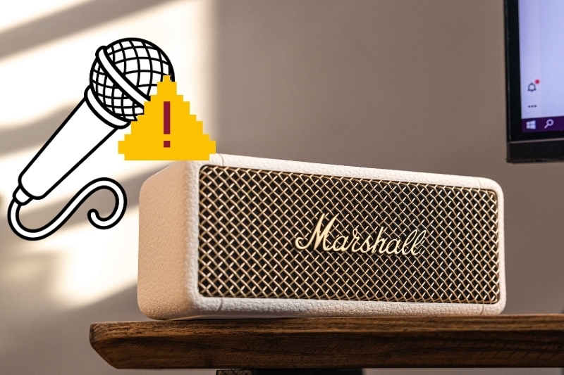 Các lỗi thường gặp khi kết nối micro với loa Marshall