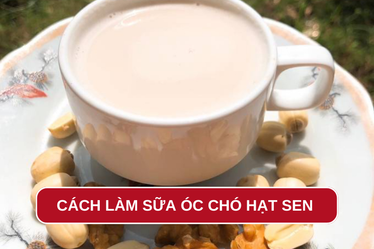 Cách làm sữa óc chó hạt sen: Thức uống thơm ngon, giàu dinh dưỡng, phù hợp với nhiều đối tượng