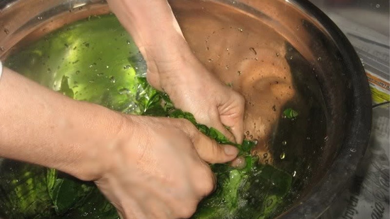 Cách làm sương sâm không cần nang mực 4