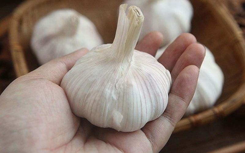 cách làm tỏi đen bằng nồi cơm điện 6