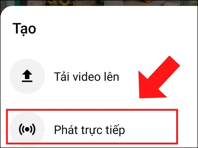 Cách livestream YouTube 6