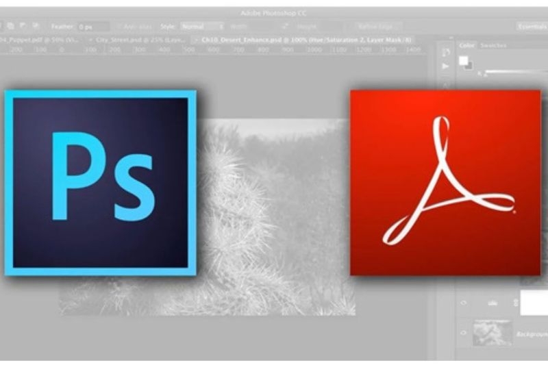Cách lưu file PDF trong Photoshop ảnh 12